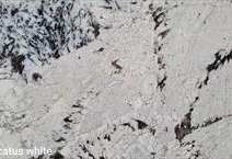 DELICATUS WHITE