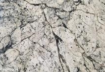 OYSTER GRAY