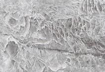 CRYSTAL TAJ LEATHER